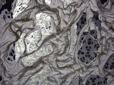 Potential Cell Series